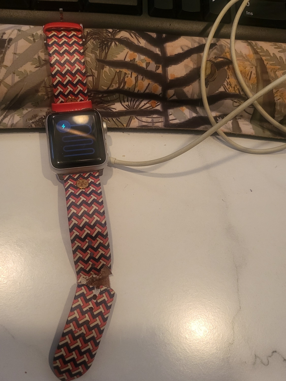 Apple Watch Series 3 38mm Cellular with Tory Burch Sports Band